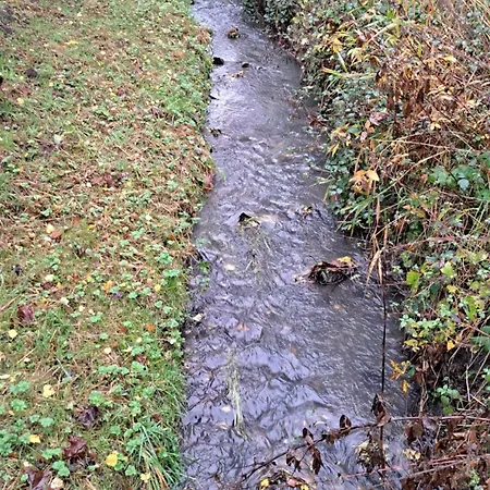 Anthelia Ferienwohnung Naehe Nuerburgring Eifel Mit Grossem Garten Renoviert Διαμέρισμα Kempenich